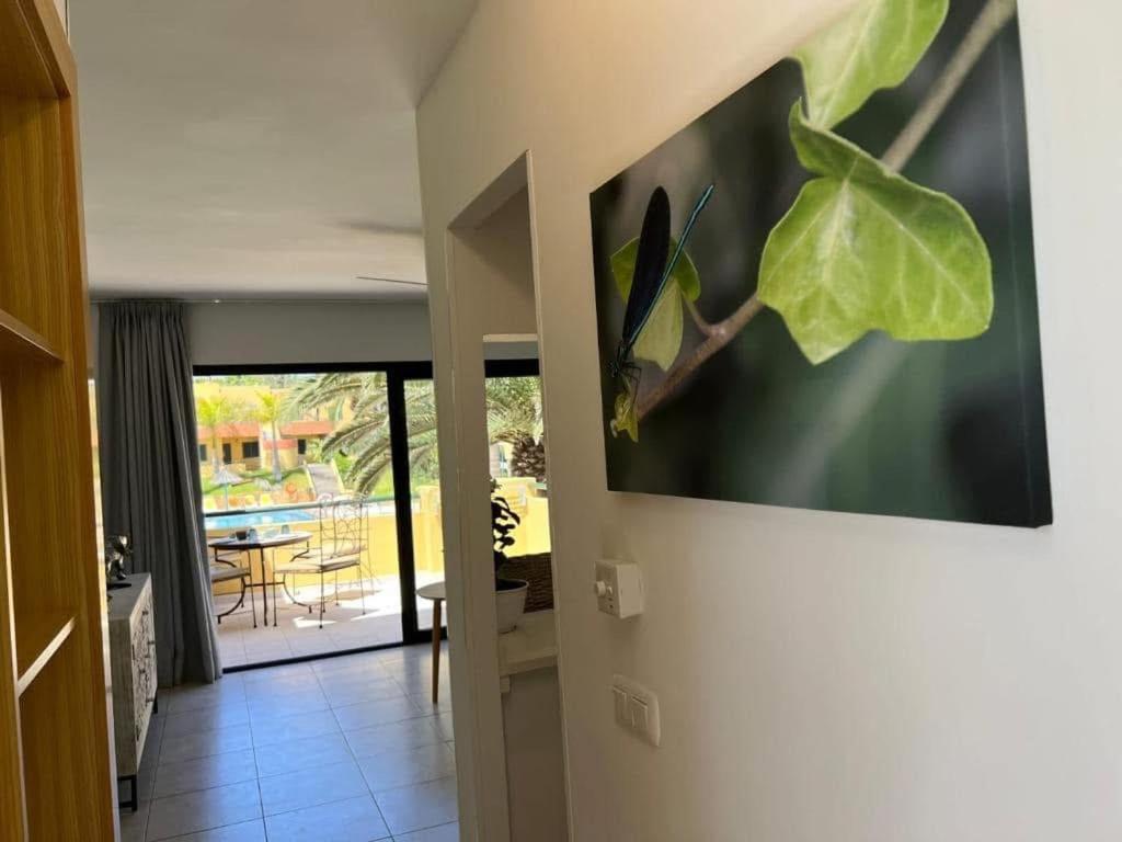 Atlantic Garden Andrew Apartments Pool Air Conditioning Corralejo Dış mekan fotoğraf